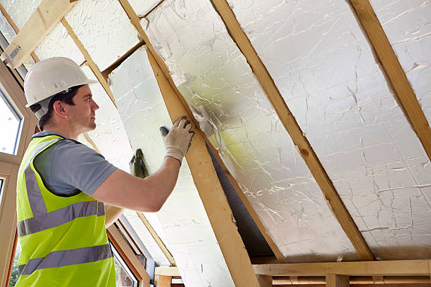 Best Cellulose Insulation in Priceville, AL